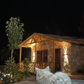 Trivor resort
