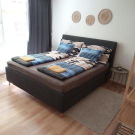 Central 2, nice two room apartment, free bus, city tax included