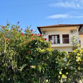 Artion Studios, Hotel in Vourvourou