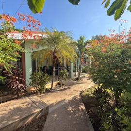 Tropical Escape at Green Life