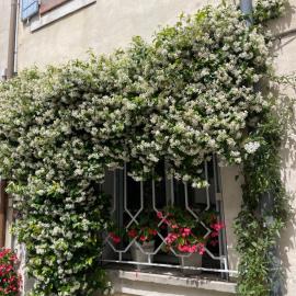 Logement clim et patio centre remparts
