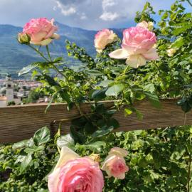 DOLCE DORMIRE, hotel in Rovereto
