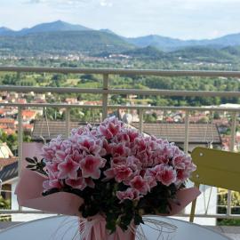 Un balcone sulla Valle di Susa, Fiori e Frutti, hotel u gradu Almese