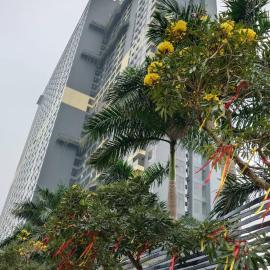 Hot Springs Tickets - Combo Onsen Center Park plus 1 and Hotel rooms - Vé Trung tâm khoáng nóng - Lynn Times Wyndham Thanh Thuy