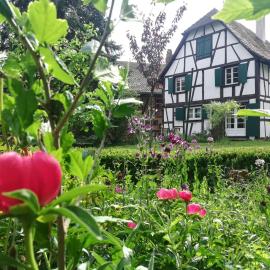 La Maison Alsacienne