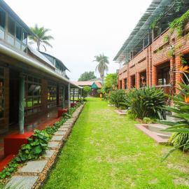Asali Lodge, hotel in East London