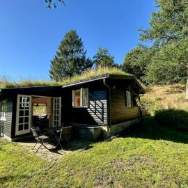 Træhytte På 1,9 Hektar Fredet Natur Ved Rebild, hotel in Støvring