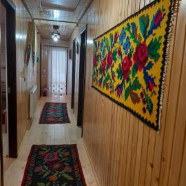 Domeniul Ursului, hotell sihtkohas Vadu Izei
