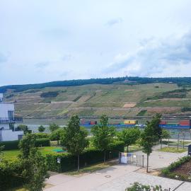 Premium Suite mit direktem Rheinblick, Balkon & freie Tiefgarage Bingen, hotel a Bingen am Rhein