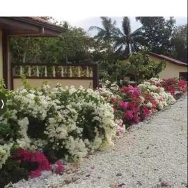 Garden INN, Hotel in Liloan