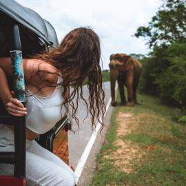 Blue Sky Safari Resort
