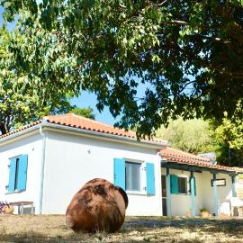 House Adelfótita