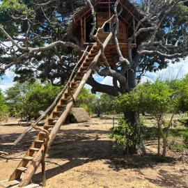 Wana beach camp, hotel 