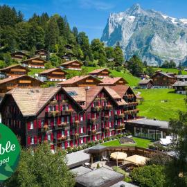 ग्रिंडलवॉल्ड में, होटल Romantik Hotel Schweizerhof