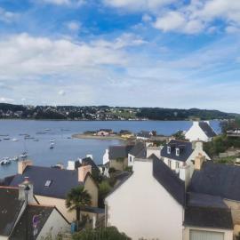 Les Hortensias - Maison vue mer Dourduff en mer