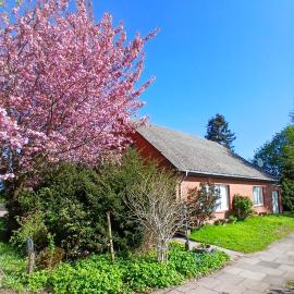 Haus am Kirschbaum, hotel in Belum
