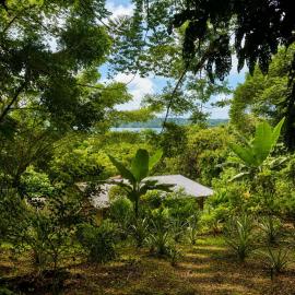 Beach Treehouse Ocean Views 2m walk to Beach, hotel v destinácii Aore Island