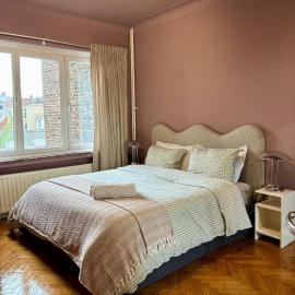 Spacious Home in Brussels