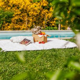 Casa da Lamela Pool & Garden