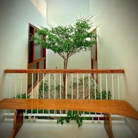 An House Homestay