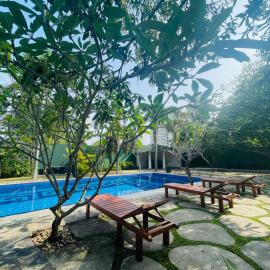 WaterLily Resort