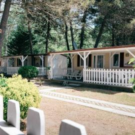 Safari Beach & Camping