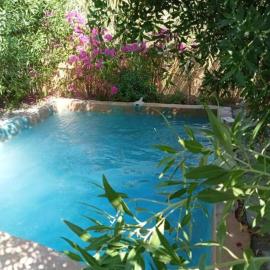 Siwa Gardenia Cottage、シワのホテル