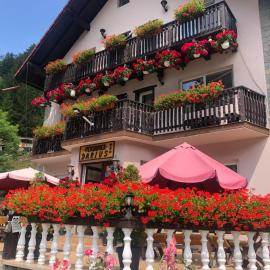Pensiunea Darius, hotel in Cheia