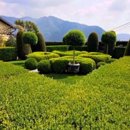Lake Como Estate with Pool, Gardens & Lake Views, hôtel à Cernobbio