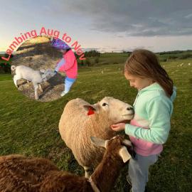 JillyPark Farmstay Experience Discover Authentic Farm Life Complimentary Breakfast Included