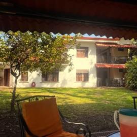 Blue Palm Bed & Breakfast