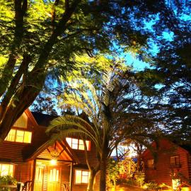Master Bear Resort