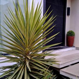 Suites e Cia - Pousada: Volta Redonda'da bir otel