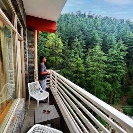 Decent Stays, hotel v destinaci Šimla