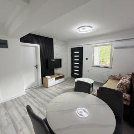 Aqua apartment, Hotel in Gornji Ribnik