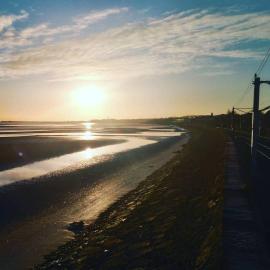 Coastal town house beside train and buses only 5 kilometers from city centre, hotel in Blackrock