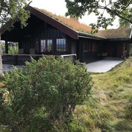 Authentic Cabin Overlooking Lake Møsvann