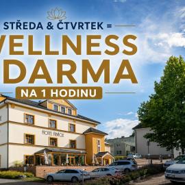 Hotel Abácie & Wellness, hotel en Valašské Meziříčí