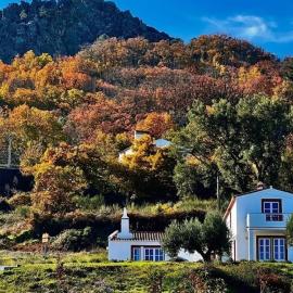 Marvão Country Houses - Queixos I