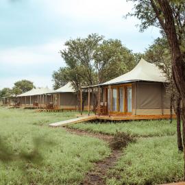 Conserve Safari Central Serengeti Camp, Hotel in Robanda