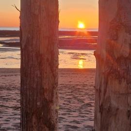 Le verger du havre de Blainville-sur Mer