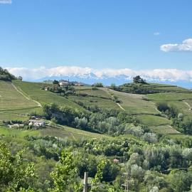 Agriturismo Il Muscatè