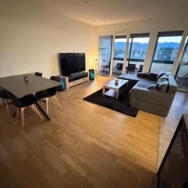 Spacious apartment in Geneva