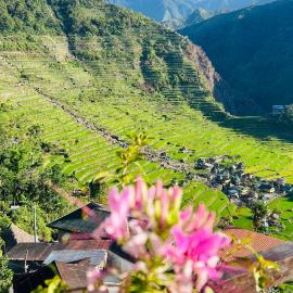 Batad Pension and Restaurant Native House, hotel in Banaue