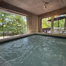 Cabin E Jacuzzi BBQ Hammock Lake Saiko Mt Fuji