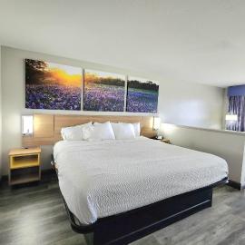 Days Inn by Wyndham San Antonio Southeast Frost Bank Center