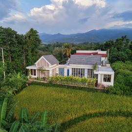 Brand New ! Villa Bella Lovina - Private Pool - Rice Field View