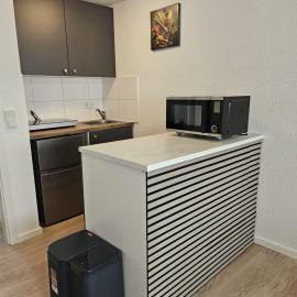 Zentrales Apartment，本道夫的飯店