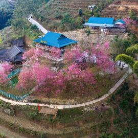 Nest hill retreat