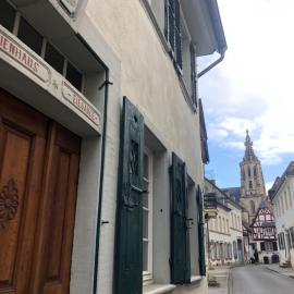 Altstadtmeise Elegance